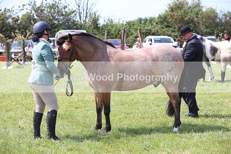 JPP_3407 - Class 22: Working Hunter 70cm
