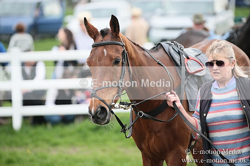 PtP 210418 137 - South & West Wilts Point-to-Point Larkhill 21/04/18