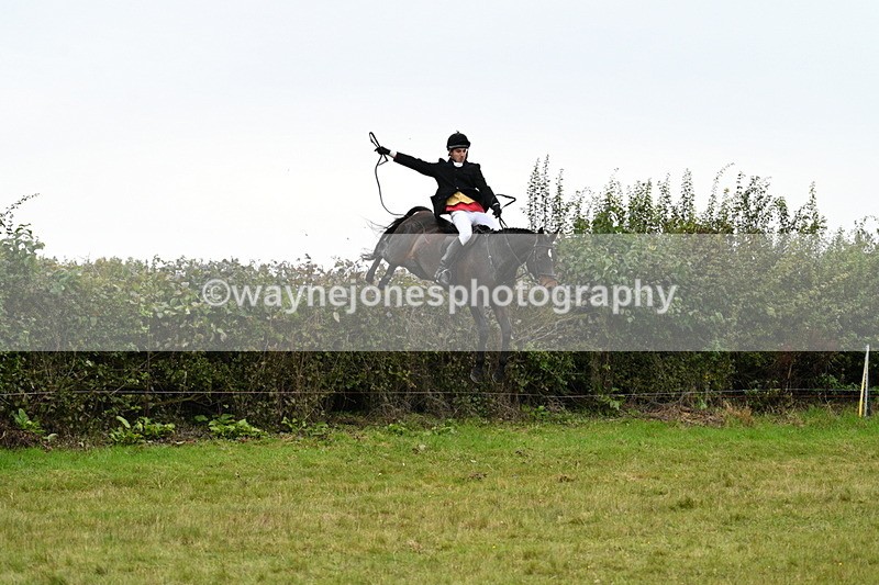 WJ7_4121 - Camera 1 Line 2