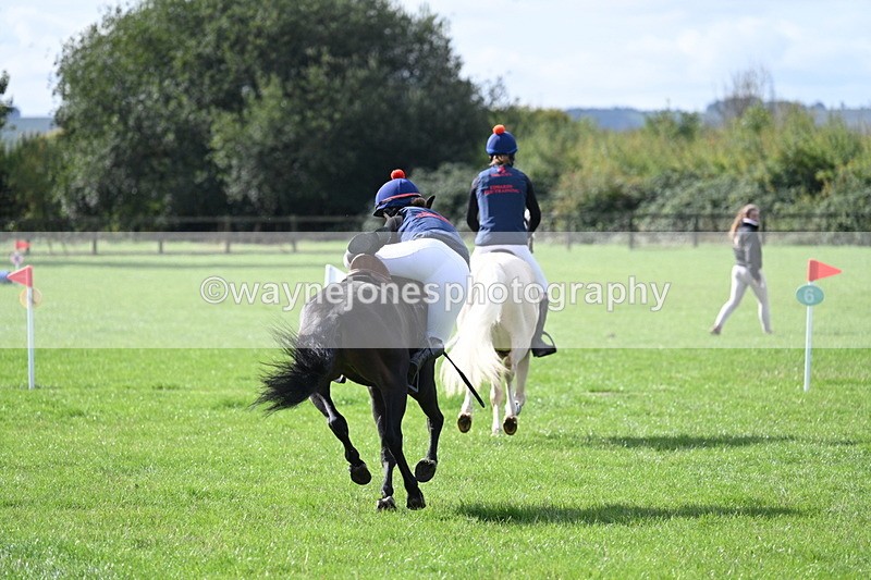 WJ7_8514 - 60cm Pairs