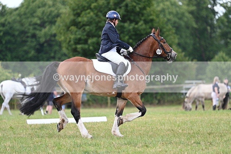 WJ7_4637 - Time 10:59 to 11:17