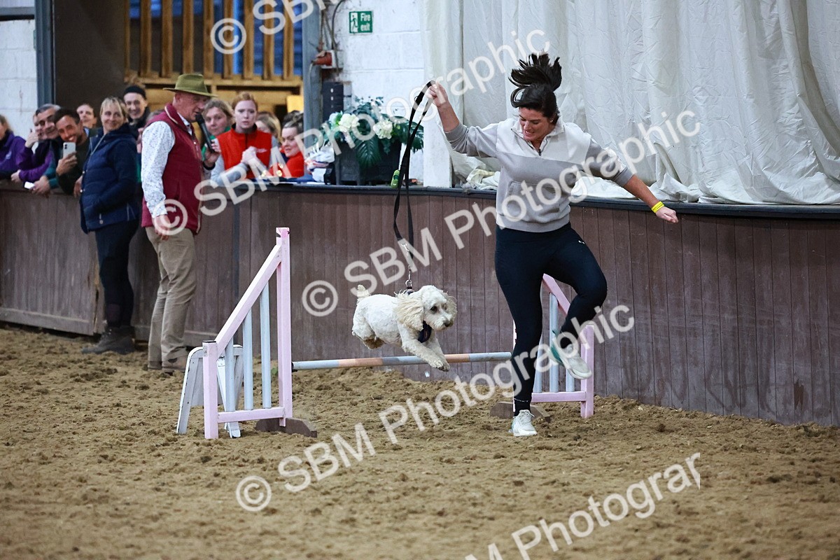 SBM_005873 - Evening Performance