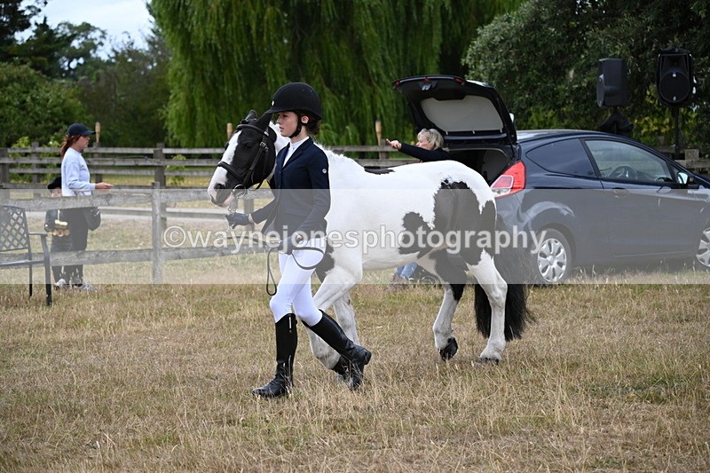 WJ6_8089 - Class 10 Coloured in Hand