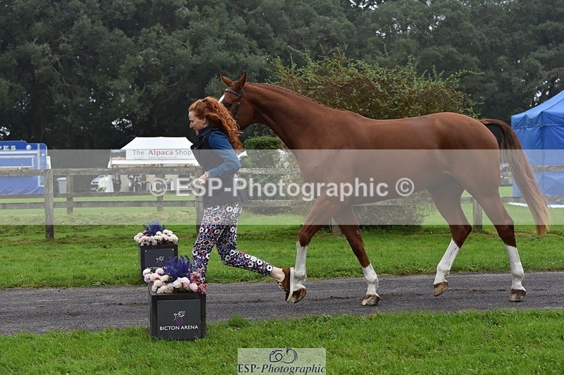 231018-115918-00020 - 066-FJK.OVER.AND.OUT-Alicia.Wilkinson-TrotUp