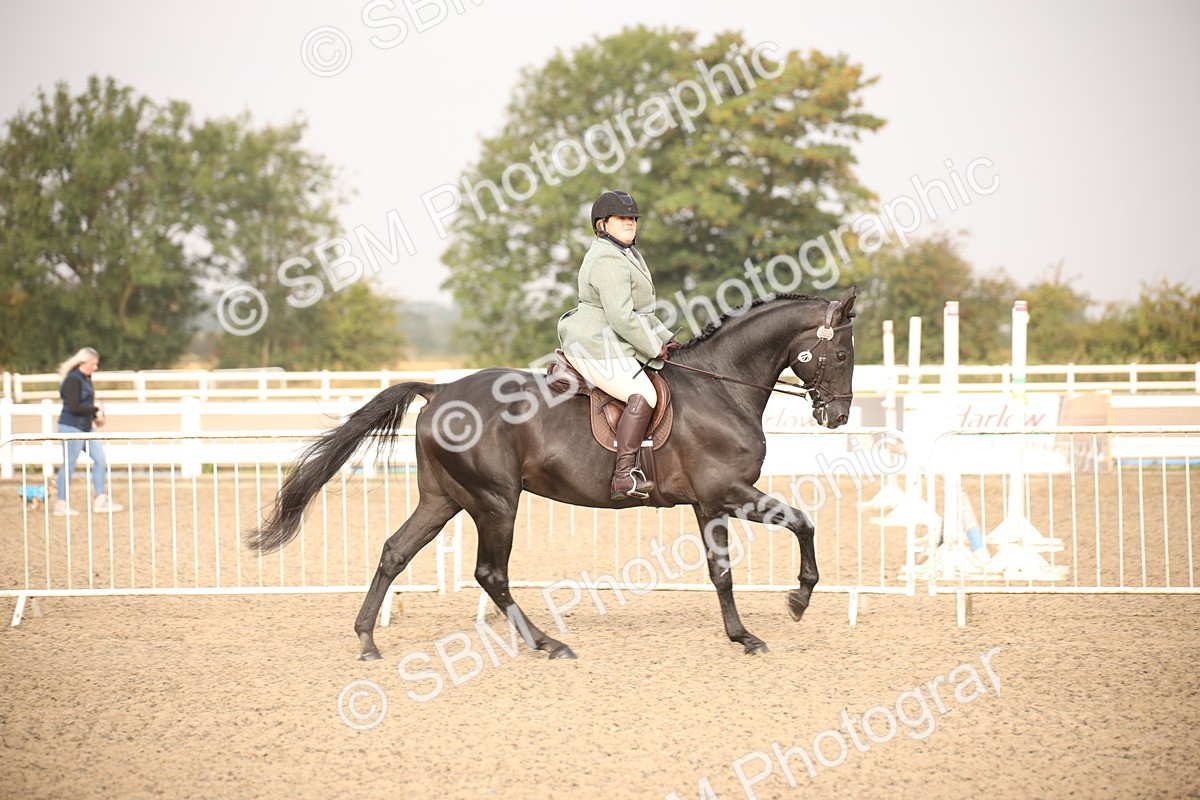 SBM_10212 - Class 402 Riding Club Horse