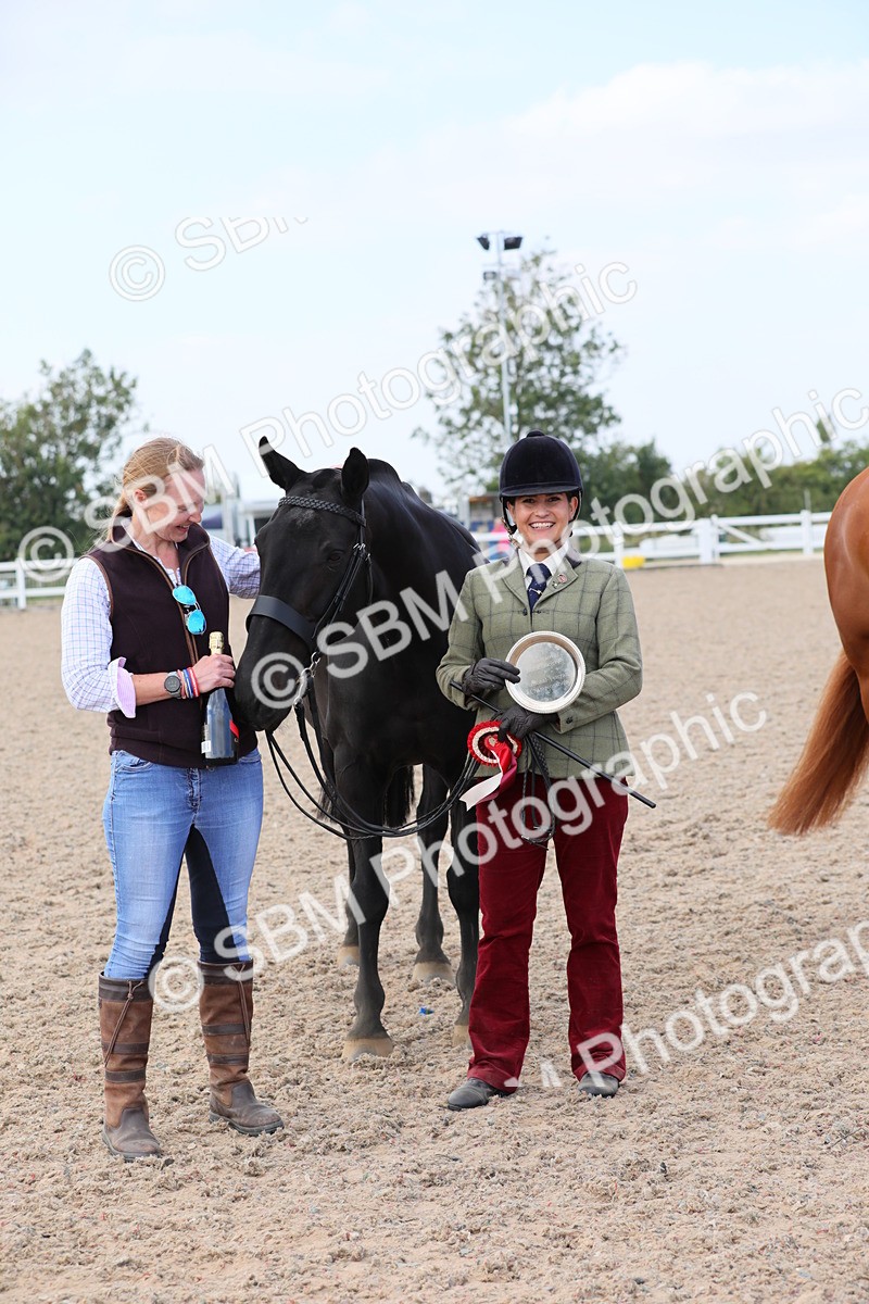 SBM_15846 - Class 312 IH Competition Horse/Pony