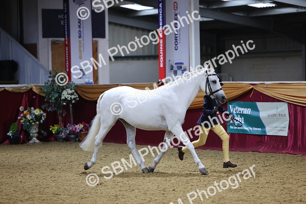 SBM_18462 - Class A Junior Champ 10 Years and Under