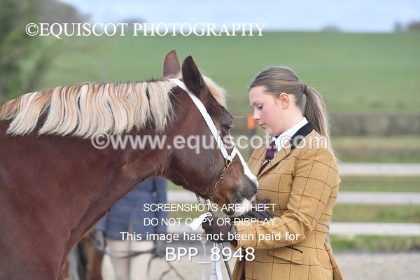 BPP_8948 - RING 2 - M&M
