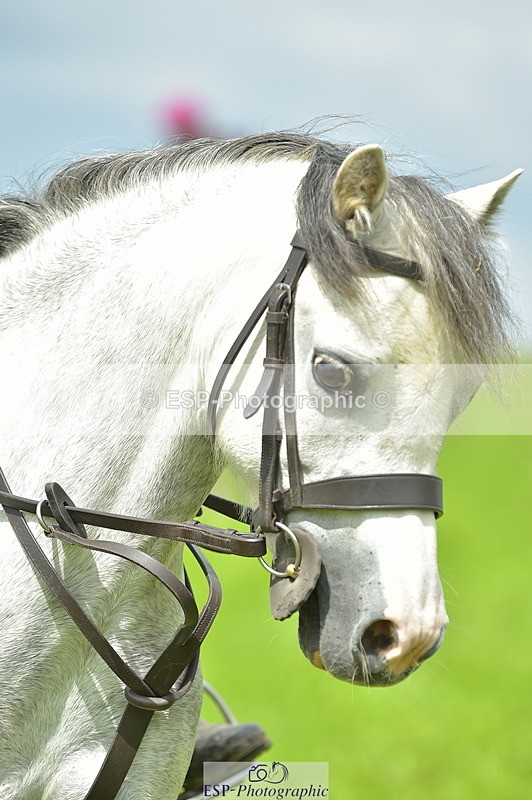 230803A-141446-00805 - Bernie's Group Ride