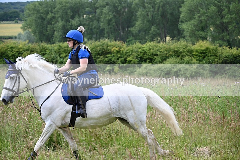 WJ6_7976 - Camera 1 Gallops