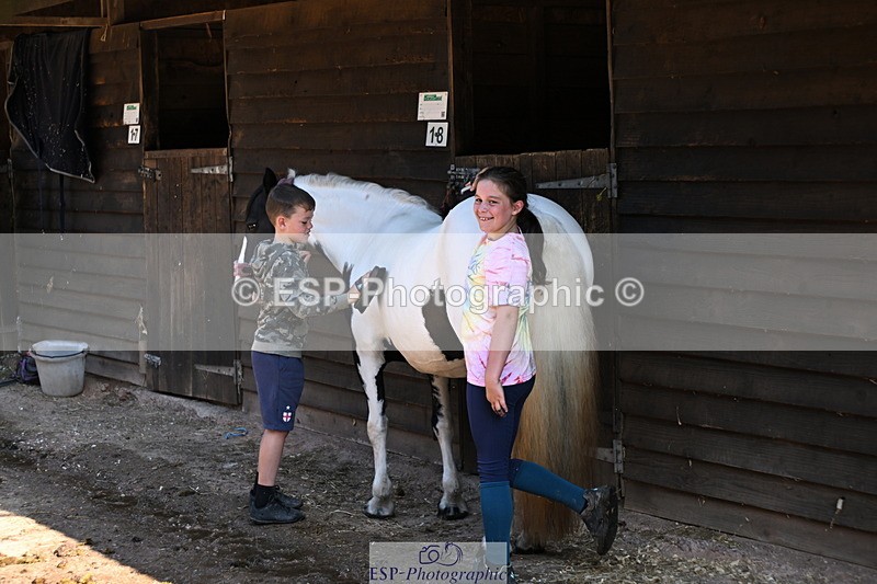 240729B-091150-01740 - Monday Stable Shots