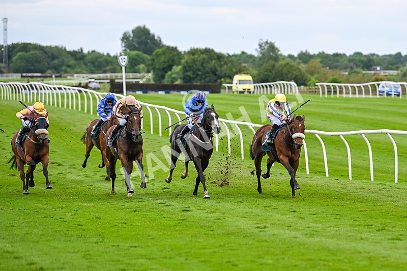 180624-Race 4-Animate-0415 - Race 4