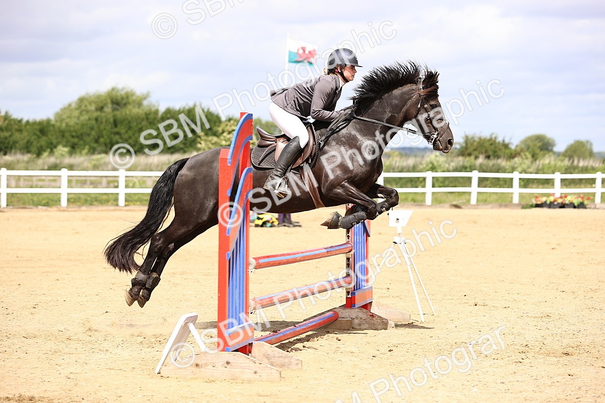 SBM_007540 - Class 2 - 80cm showjumping
