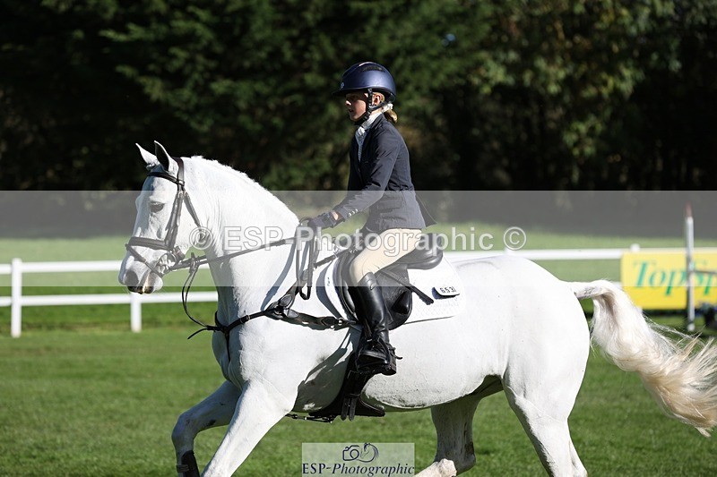 231022-110532-24950 - 653-GREYΓÇÖS.VILLAGE.MELODY-Annabel.Ridgway-TrotUp+SJ