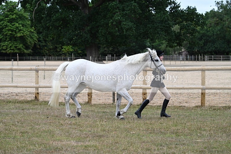 WJ7_8733 - Class 4a Prettiest Mare 14.2hh and over