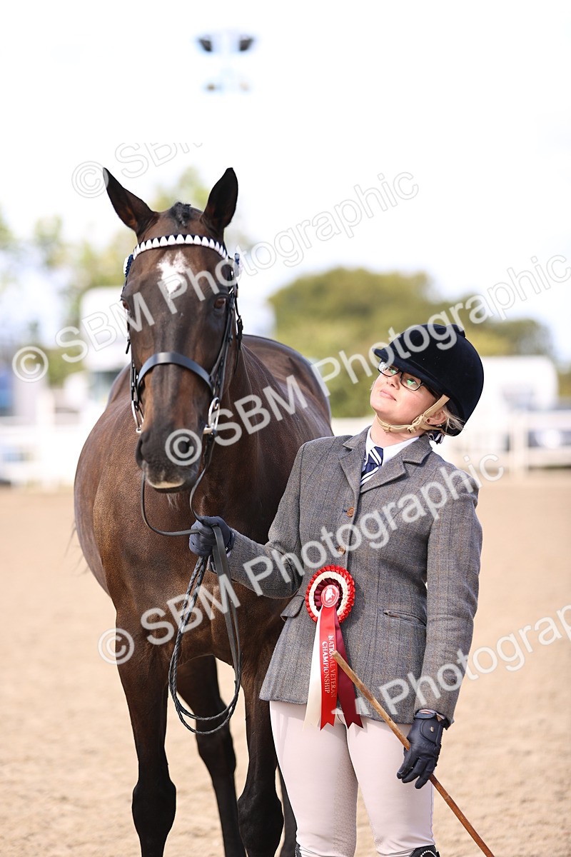 SBM_11559 - Class 407 - IH Hack-Riding Horse