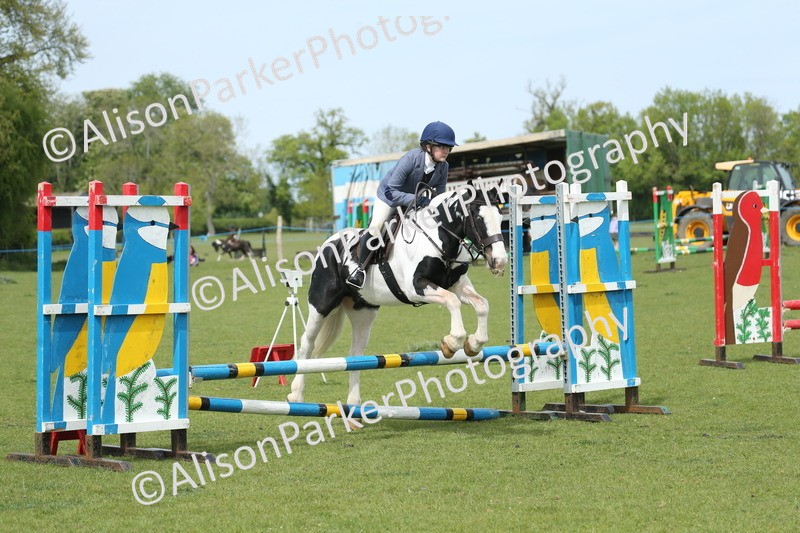 20260426-2045 - Class 15 - Absolute Novice 70cm