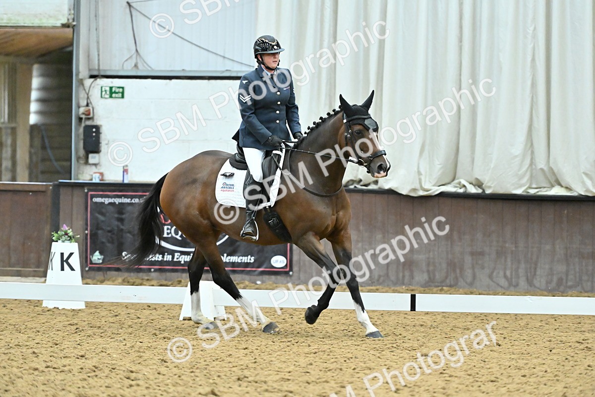 SBM_007484 - Class 81 - Novice 3