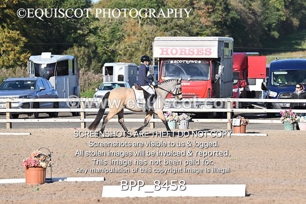 BPP_8458 - SHORT ARENA INTRO 1