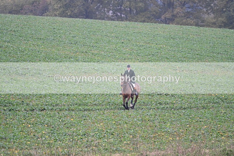 WJ7_8884 - Camera 1 only on this line