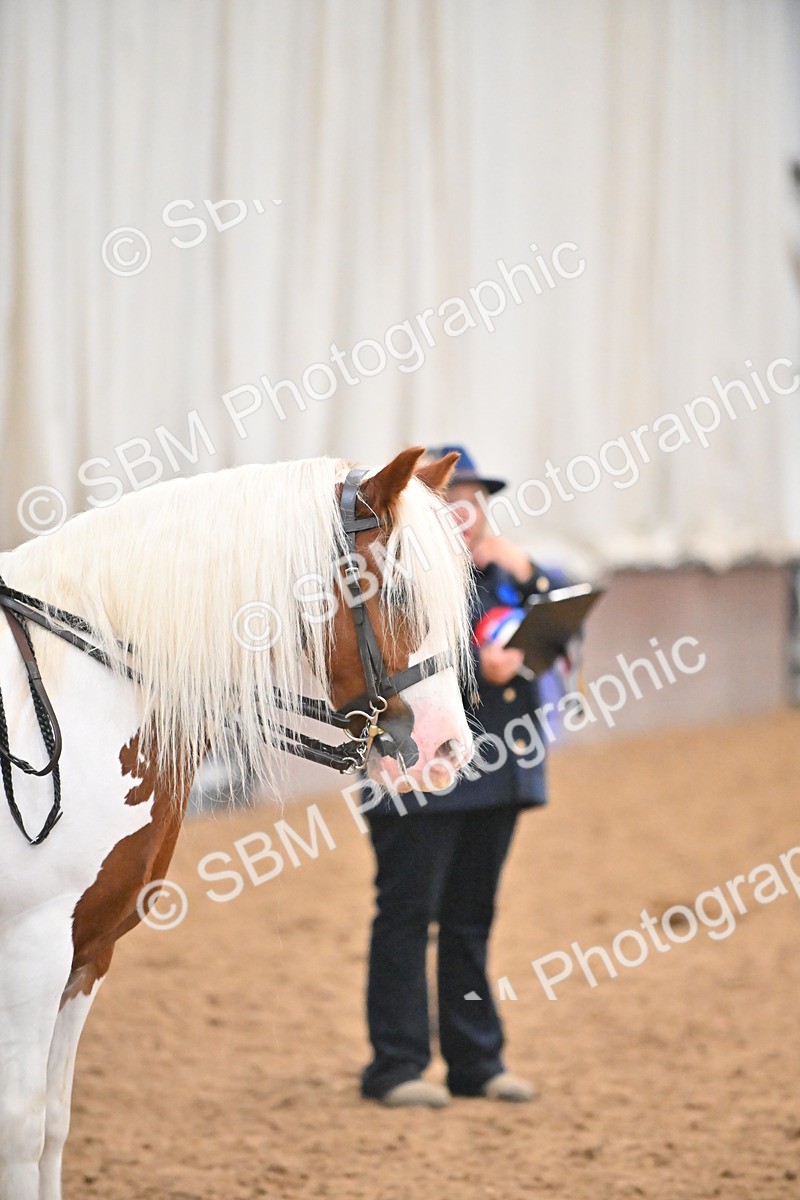 SBM_002655 - Class 28,29 - Ridden Irish & Coloured