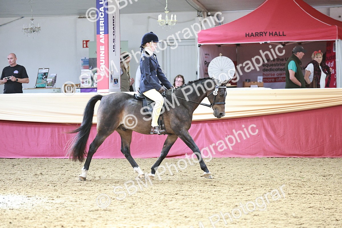 SBM_08296 - Class 11R - Regional Ridden Veteran