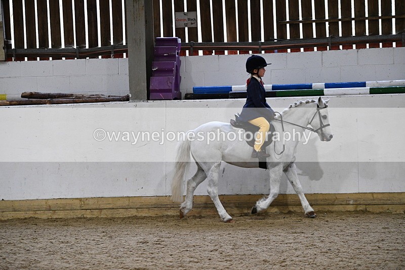WJ5_7169 - Class 11 Ridden PC - RC Pony