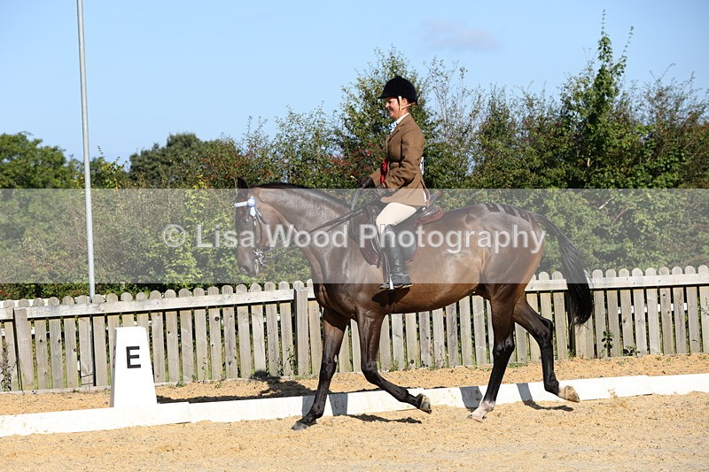1X9A7651 - Class 7: Novice Ridden Hunter/Hack/Cob/Riding Horse