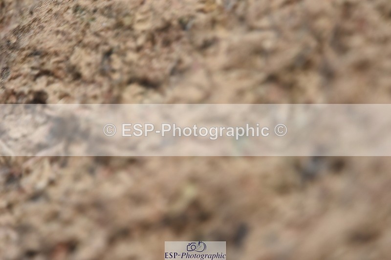 230915A-112808-00314 - Cls 9 British Novice & 90cm Open