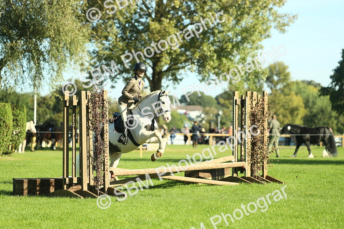 SBM_36429 - S29 - Novice & Newcomers Working Hunter Pony