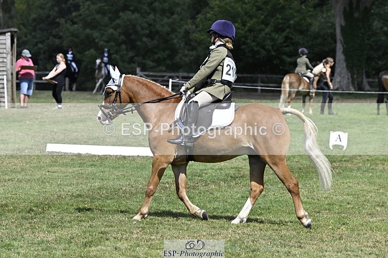 250822A-121825-22682 - DR 11.00 to 12.00