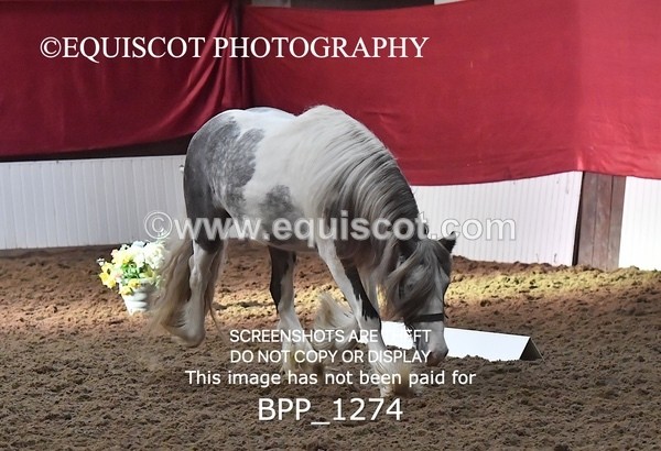 BPP_1274 - MORNING 9AM - 12PM