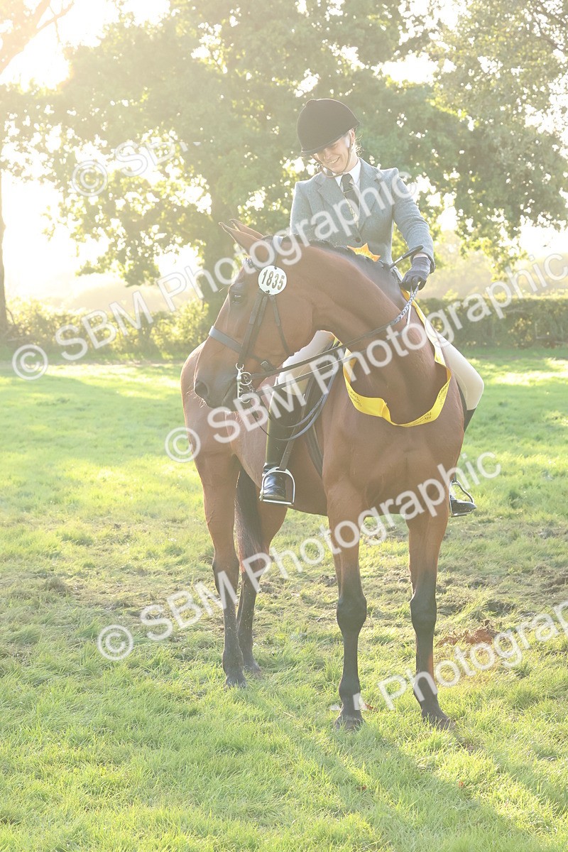 SBM_53097 - S29 - Mature Veteran Ridden