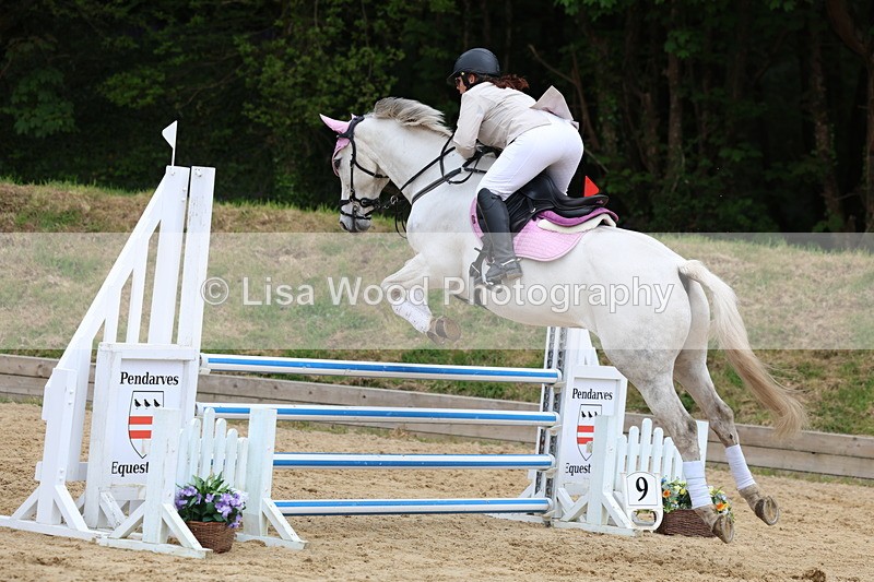 3E7A6295 - Class 4: Senior British Novice/90cm open