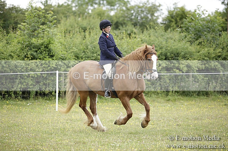 BVR160717-1519 - Ring 1 BVRC Show 16/07/17