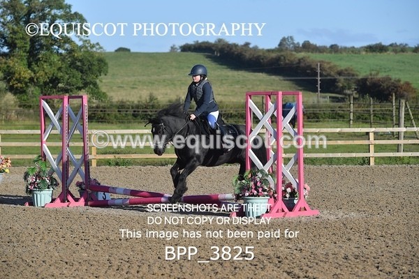 BPP_3825 - CLASS 0 Clear Round Show Jumping