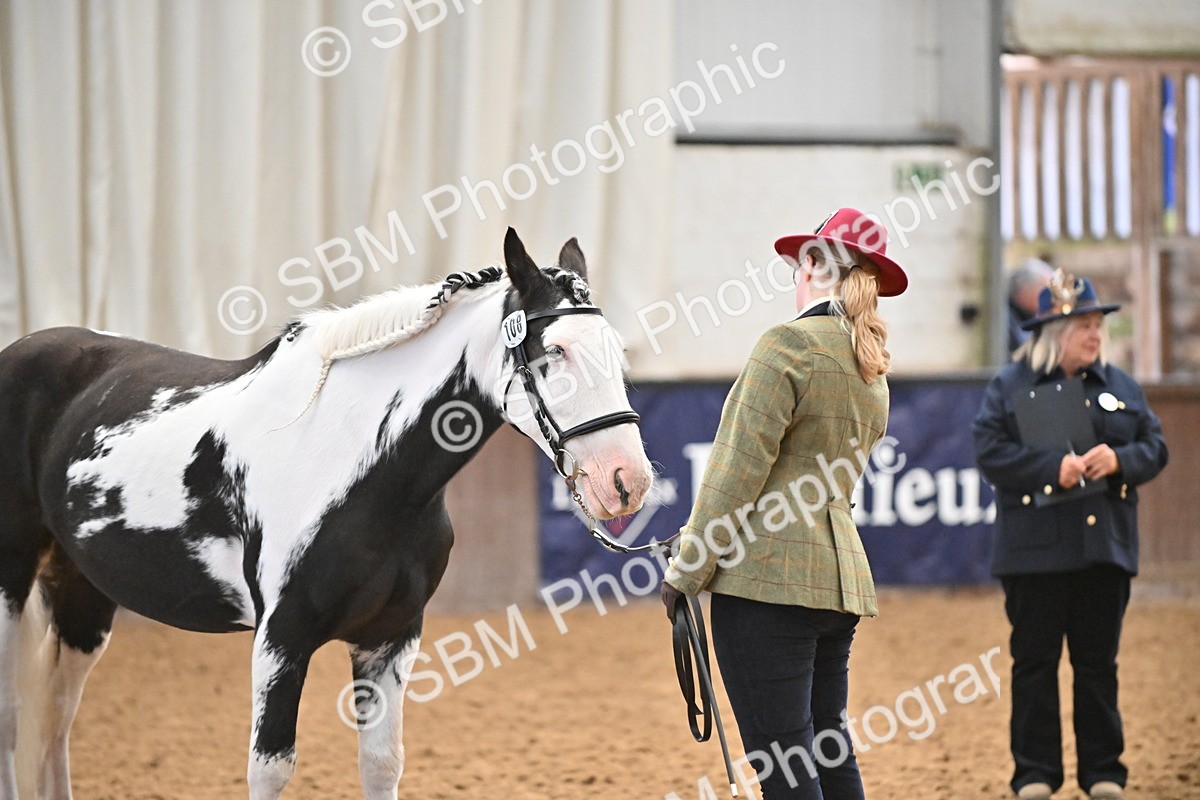 SBM_000290 - Class 10 - In Hand Coloured & Odd Coloured