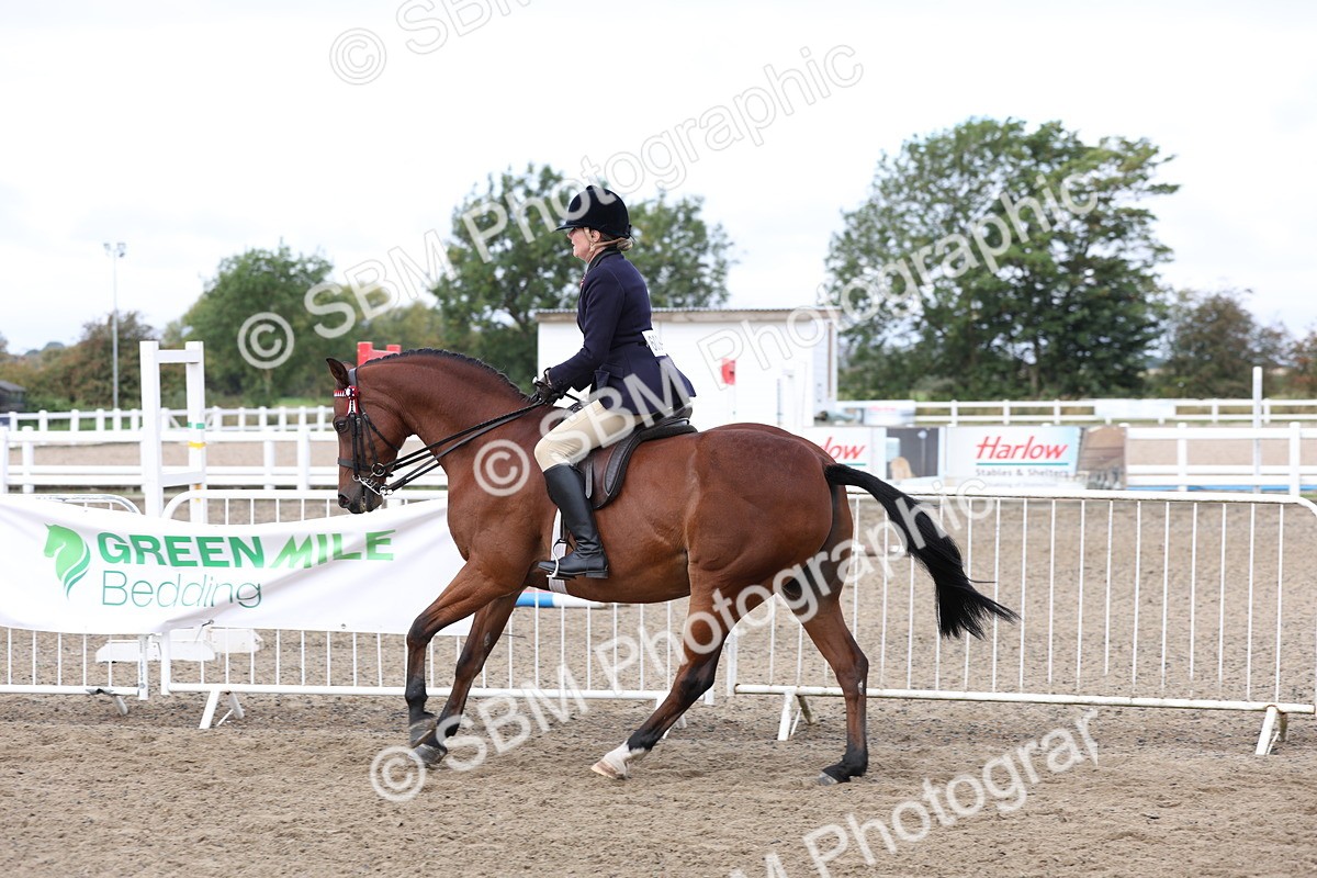 SBM_01498 - Class 52 - Ridden Veteran