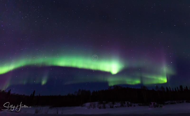 Alaskan Aurora 1