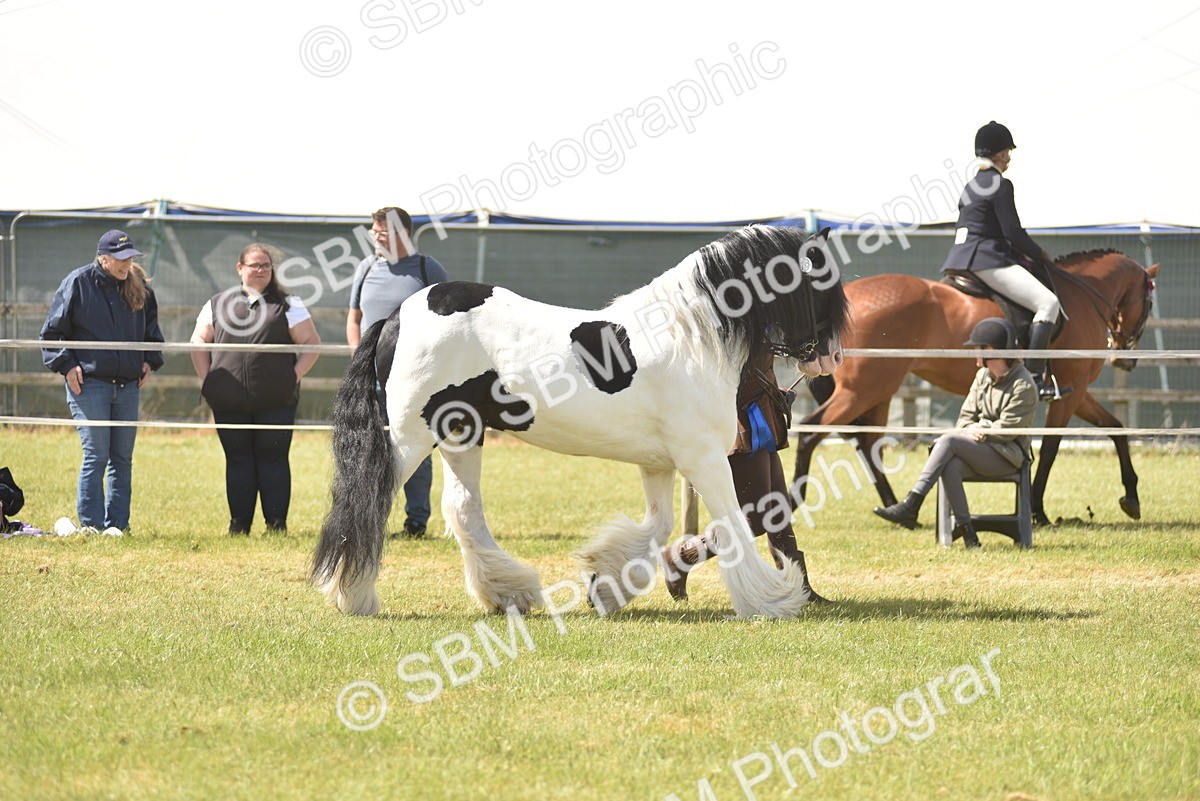 SBM_16123 - Class 117-122 - SSADL RIHS Qualifier