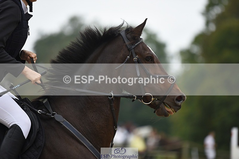 231001-124534-02501 - Cls 2 80cm 12.20 to End