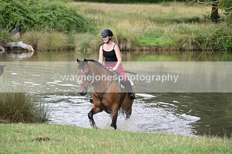 WJ7_4287 - Time at Water 12:52 to 13:22