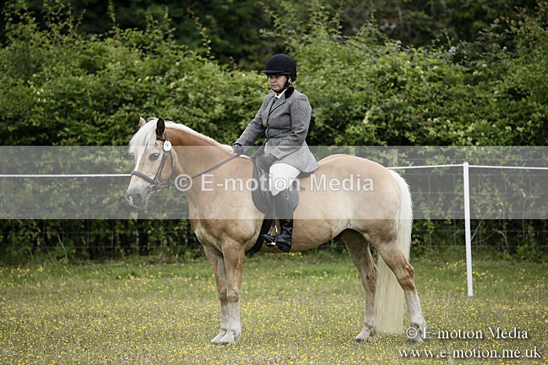 BVR160717-1360 - Ring 1 BVRC Show 16/07/17