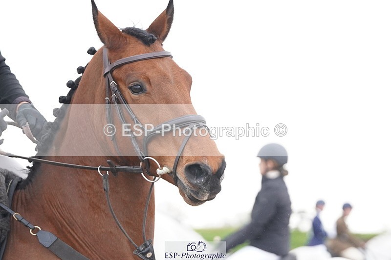 250419-114410-09464 - 470-Simon.Wooding-CURRAGHGRAIGUE.WILFRED