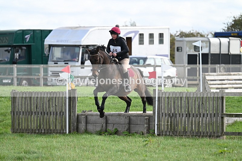 WJ7_8331 - 60cm Pairs