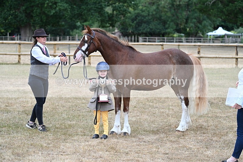 WJ7_9373 - Prettiest Mare Champs