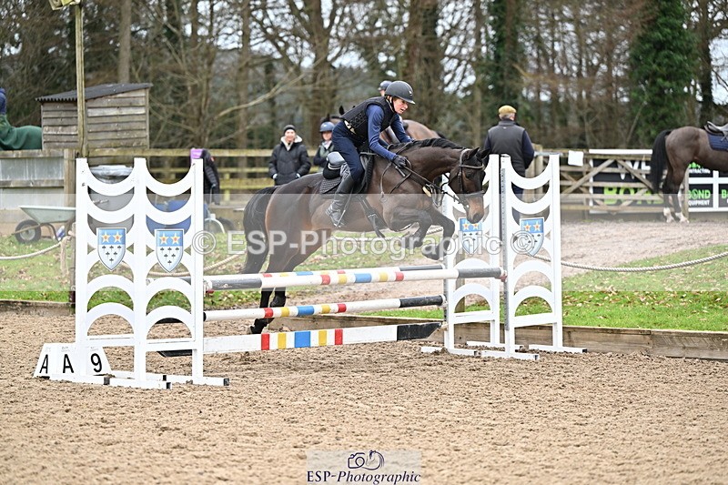 250201A-103214-00250 - Cls 01 Local Horse 90cm