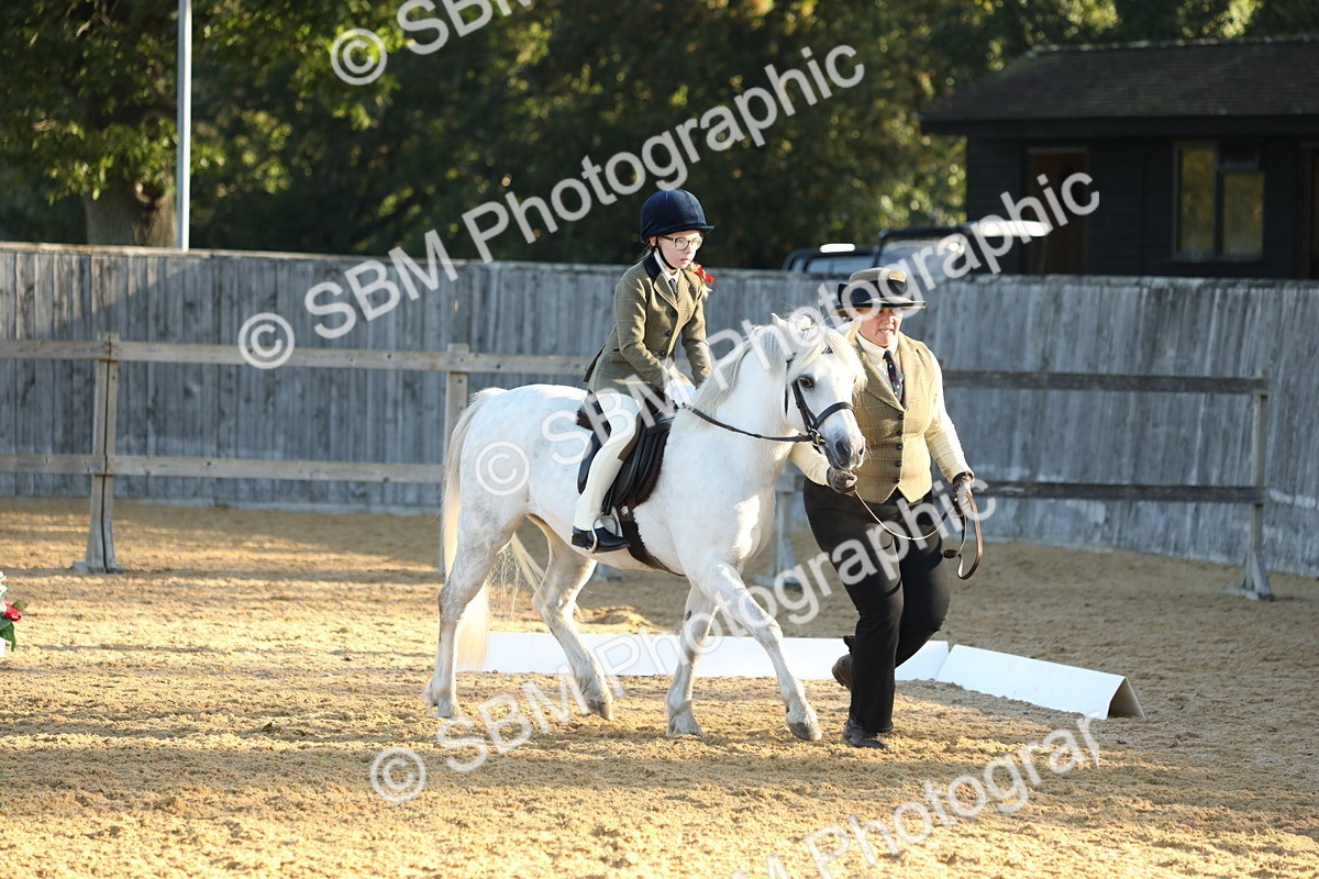SBM_33597 - D26 - Starers - Lead Rein
