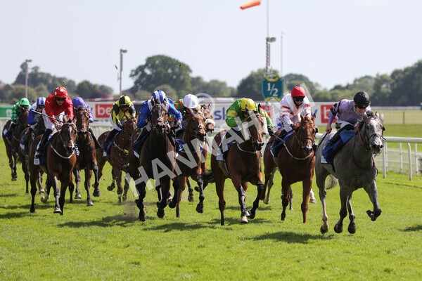 yr12062021r4-8 - Race 4 3.40pm The Pavers Foundation Catherine Memorial Sprint Stakes