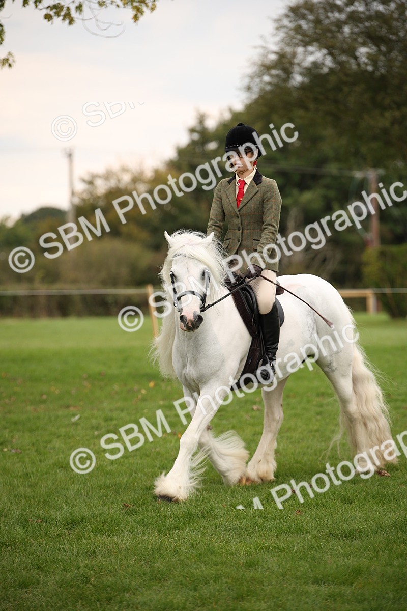 SBM_73528 - S68 - Traditional Cob Ridden